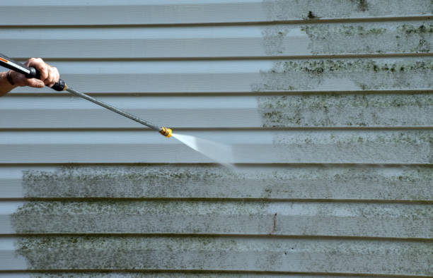 Best Solar Panel Cleaning  in Duncanville, TX